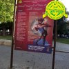 festival 2014 57